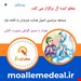 ثبت نام فعال (با صدور گواهی)